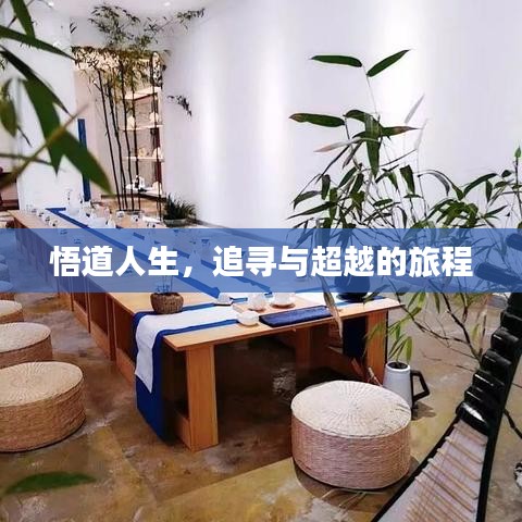 合作案例 第32页