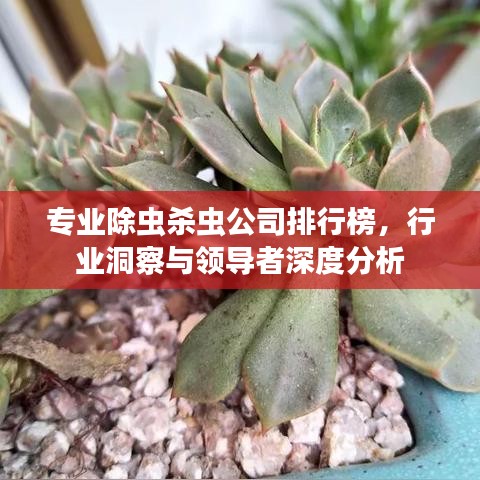 专业除虫杀虫公司排行榜，行业洞察与领导者深度分析