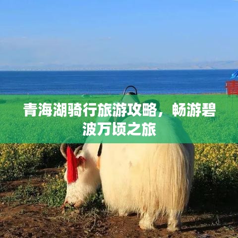 青海湖骑行旅游攻略，畅游碧波万顷之旅