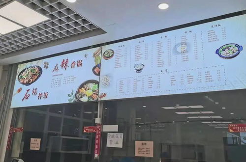 新版本大树出装,专业研究解释定义_挑战版_v7.401