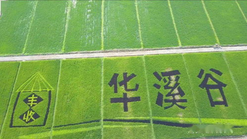 儿童邮局官方下载，全新探索版v7.592，为孩子打造的邮局乐园——整体讲解规划