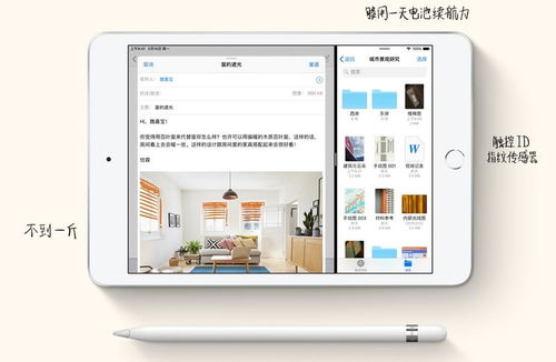 mini2版本,全面数据分析实施-LT_v7.272