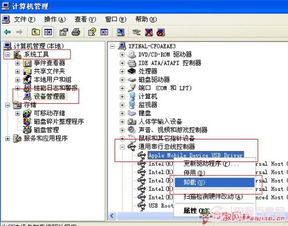iTunes版本号，数据驱动方案实施XP_v2.615——一款免费且强大的软件