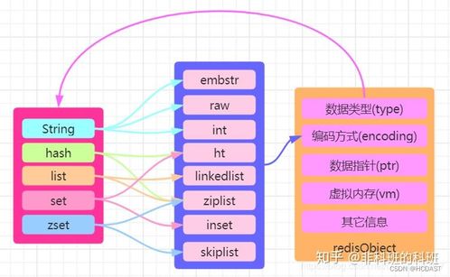 hbuilderx官方免费下载,数据解析支持策略_完整版_v10.452