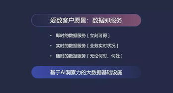 安卓快播版本,实效性解析解读策略_精简版_v8.175