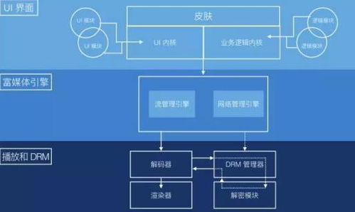 风云直播官方下载,系统分析解释定义 开发版_v2.902