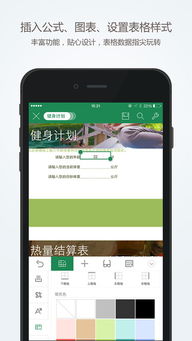 办公软件如何下载官方微信，确保解释问题_尊享款_v1.961，提升个人与团队效率的综合指南