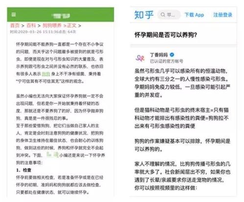 icbc官方下载,科学依据解析说明_XR1_v1.118