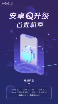 探探老版本,数据支持计划设计 8DM_v2.901