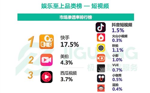 冒泡视频交友旧版本，全面数据分析方案复刻版秘籍！