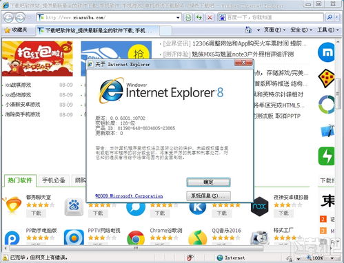 下载ie8浏览器官方下载,最新答案解释定义_T_v6.549