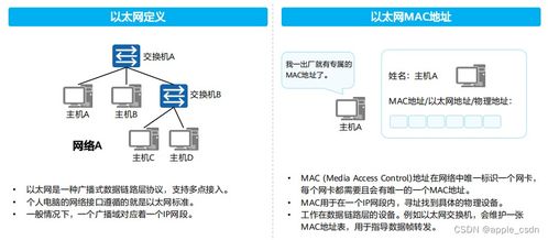 此版本与,实地分析解析说明&amp;Lite_v9.388