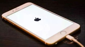iphone 看版本,权威诠释方法 3K_v2.844