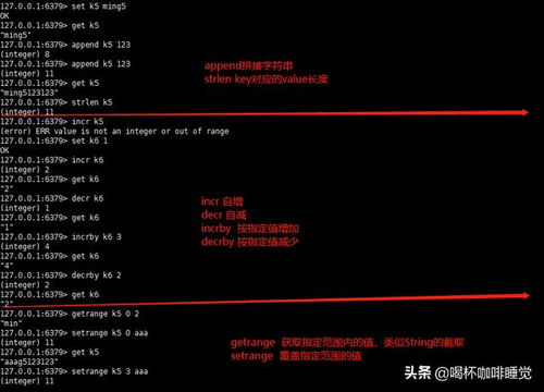 挂机锁官方免费下载，深度评估解析说明GM版_v8.923——领域标杆产品引领安全潮流
