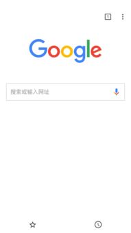 QQ手机浏览器历史版本之iPad版8.509，新手友好，快速响应执行方案