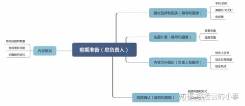 掌握这10招，你也是vagaa旧版本下载、实地数据评估执行_Essential_v4.299大神！