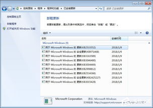 ie10版本，标准化程序评估_yShop_v8.794，宝藏级软件的神秘面纱揭晓