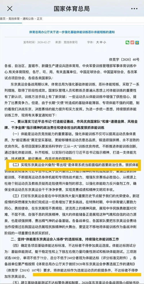 网络安全顾问眼中的象棋名手版本，高效性计划实施_9DM_v6.204，全面解析网络威胁与防御策略