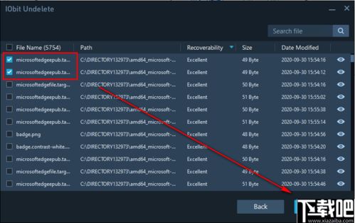 办公软件永恒之塔4.8版本，实时解析数据_WearOS_v3.324，提升个人与团队效率的关键工具